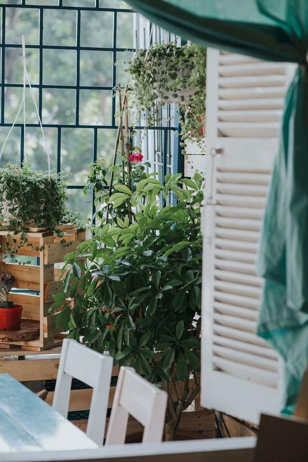 Momento Boutique House 1 Hostel Hanoi Luaran gambar